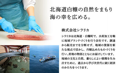 ふるさと納税 北海道 海鮮 魚 プリッとした歯応えの中に、きめ細かいサシで脂のりが良い天然ぶりを漬け丼にしました！ 北海道産 ぶり 漬け丼 ぶり 【ふるさと納税】【訳あり】天然ぶり 漬け丼の素 セット