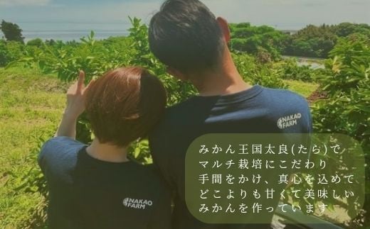 OC8x1 中尾農園の夢みるみかんジュース贅沢３種３本セット［みかん・はるか・クレメンティン］