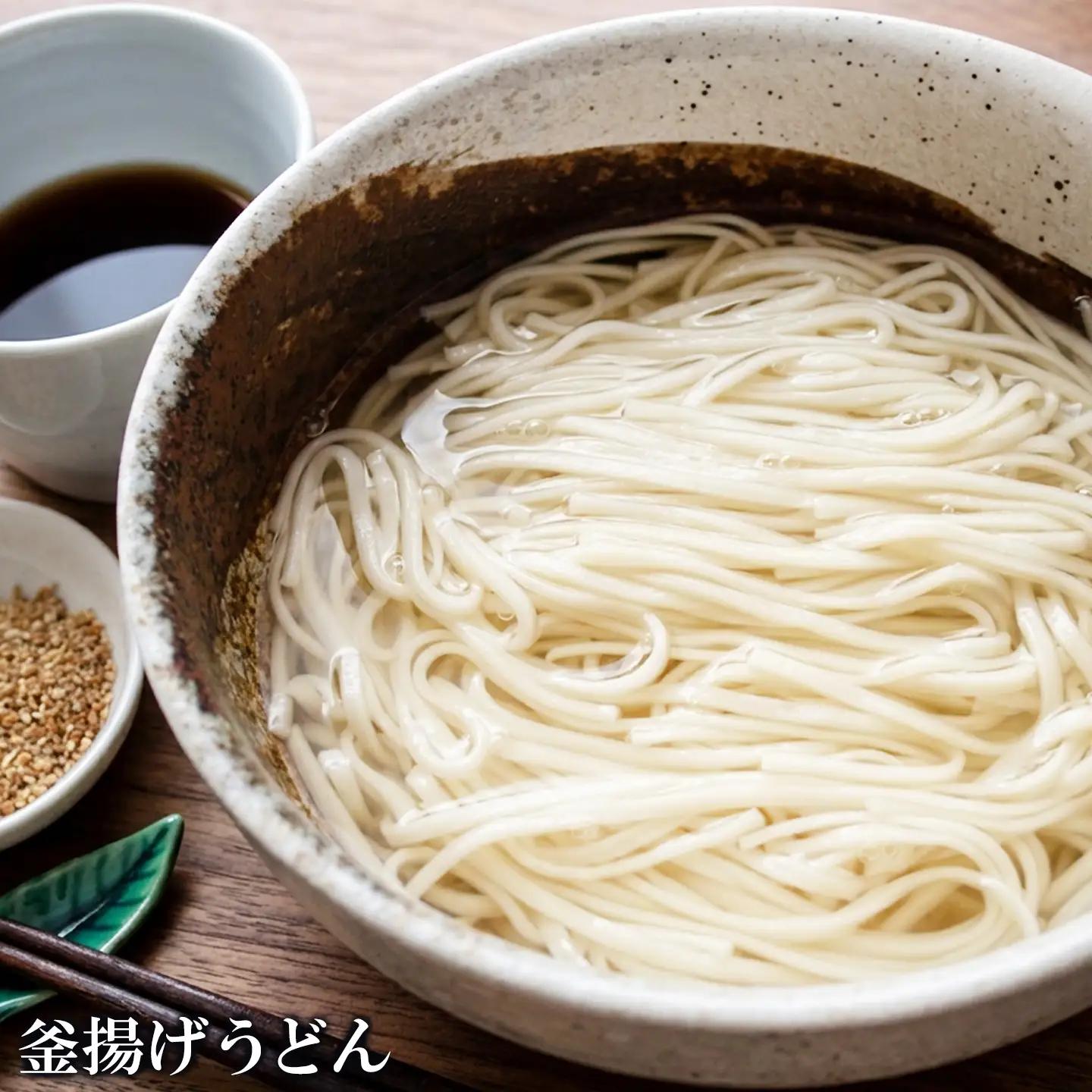 さっとできてさっと食べられる ささっとうどん 10入(H014139)