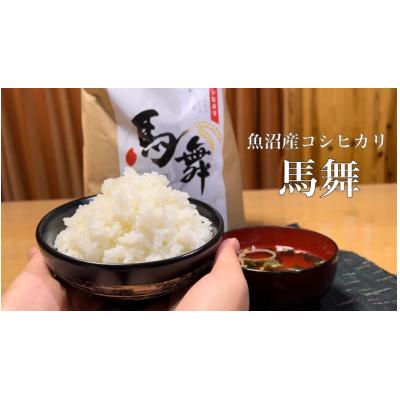 ふるさと納税 十日町市 魚沼産コシヒカリ“馬舞”【白米】5kg