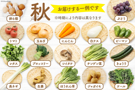 AD038【定期便】野菜・フルーツ・卵　旬のお任せセットA　12回お届け