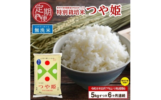 【令和8年産 新米予約】≪6回定期便≫ ［無洗米］特別栽培米 つや姫　5kg×6回(計30kg)10月下旬発送開始「農家直送」 KA SI0067