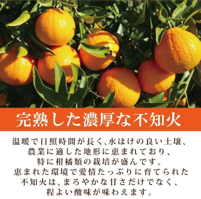 【先行予約】紀州有田産不知火(しらぬひ) 2.5kg ※2027年2月中旬頃〜3月中旬頃に順次発送予定（お届け日指定不可）/ みかん 不知火 和歌山 フルーツ 有田【uot794】