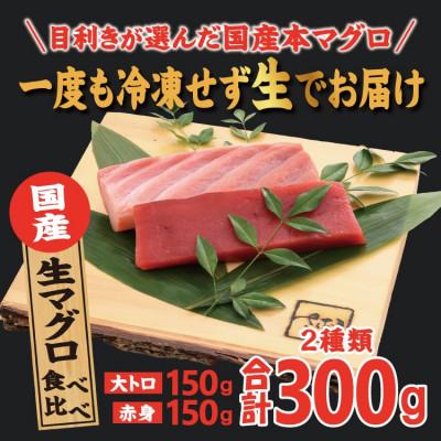 ふるさと納税 越前町 国産生本マグロ 大トロと赤身 2種セット 合計300g |  | 01