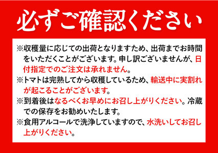 ZEPPIN　TOMATO　OKAYAMA　1kg箱（ZEPPIN　EX)　C-39a｜ トマトとまとトマトとまとトマトとまとトマトとまとトマトとまとトマトとまとトマトとまとトマトとまとトマトとまとト