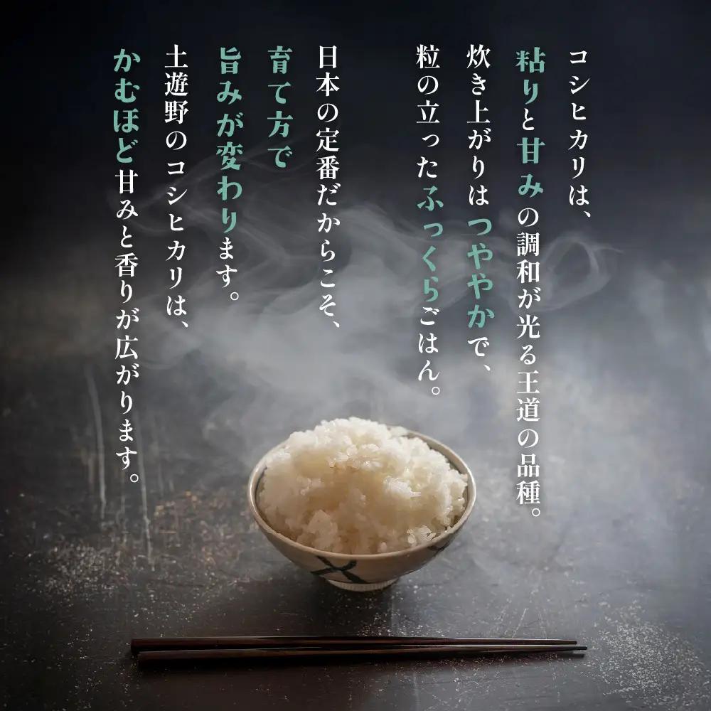 有機米 コシヒカリ 10kg　棚田-tanata-（有機JAS認証米） 米 白米 精米