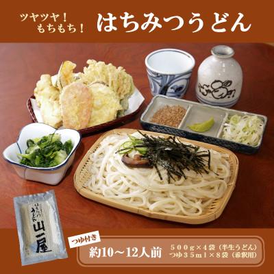 ふるさと納税 吉岡町 はちみつうどん500g×4袋 約10〜12人前(半生うどん)