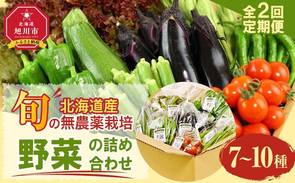 
            【2026年先行予約】7・8月　計2回定期便　北海道産旬の無農薬栽培　野菜の詰め合わせ7～10種類 【 サニーレタス 水菜 チンゲンサイ さやえんどう スナップエンドウ さやいんげん ささぎ豆 春大根 ズッキーニ なす トマト きゅうり ししとう なんばん オクラ カボチャ じゃがいも にんじん 北海道産 無農薬栽培 野菜セット 季節の野菜 新鮮 お取り寄せ 野菜ボックス 安全 安心 野菜直送 人気 旭川市 】_04700
          