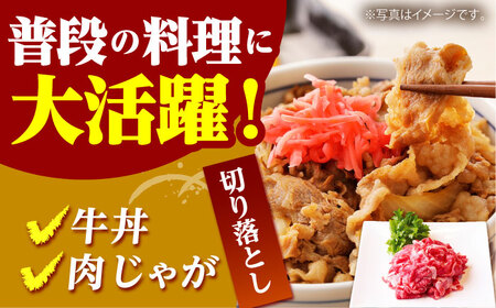 【全12回定期便】佐賀牛 A5 おうちごはんセットB（切り落とし 1kg・ミンチ 600g・牛すじ 600g） HAD127  佐賀牛