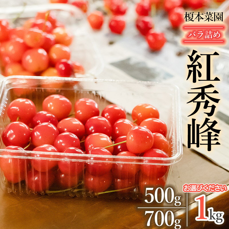 【ふるさと納税】 【令和8年産先行予約】さくらんぼ 紅秀峰 バラ詰め［500g・700g・1kg］ 山形県 鶴岡市産　榎本菜園　K-835・K-848・K-866
