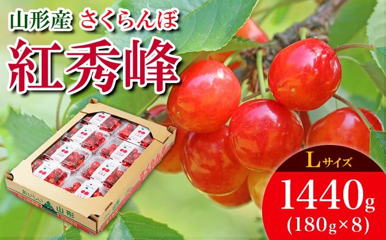 
            さくらんぼ 紅秀峰 L 1440g(180g×8) 【令和8年産先行予約】FS25-537 くだもの 果物 フルーツ 山形 山形県 山形市 2026年産
          