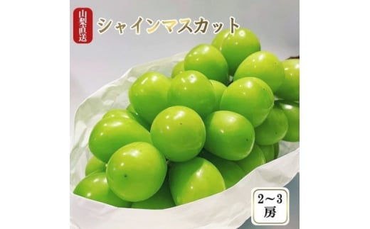 ＜2025年先行受付＞シャインマスカット 1.1kg 厳選!池田青果のシャインマスカット2房～3房【1436023】