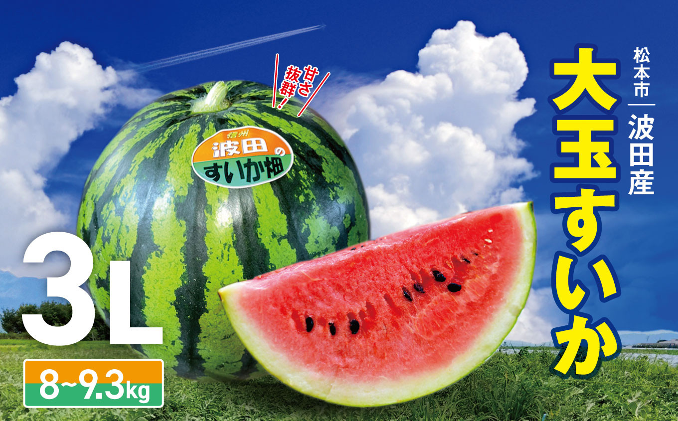 
            【2026年発送】先行予約 松本市 波田産 大玉すいか（サイズ3L）｜先行予約 スイカ すいか 大玉スイカ 大玉 果物 くだもの 新鮮 果汁 ジューシー 大きい フルーツ ふるーつ 長野県 松本市
          