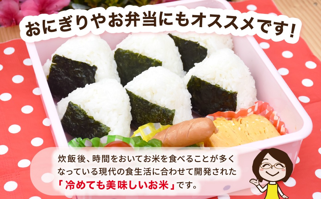 【令和8年産新米 6ヶ月】佐渡島産 新之助 無洗米 10kg