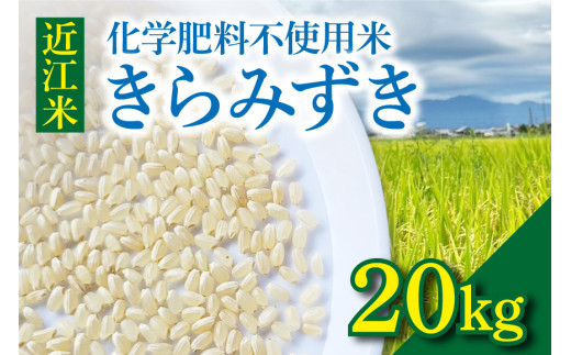 令和8年度産  先行予約 近江米『きらみずき』　化学肥料不使用米　20キロ（鮮度保持袋）