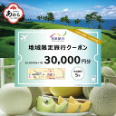 【ふるさと納税】【福井県あわら市】 日本旅行 地域限定旅行クーポン【30,000円分】 ／ 旅行 宿泊 旅館 ホテル 宿泊券 チケット 北陸新幹線 観光 あわら温泉 北陸 福井県 あわら市