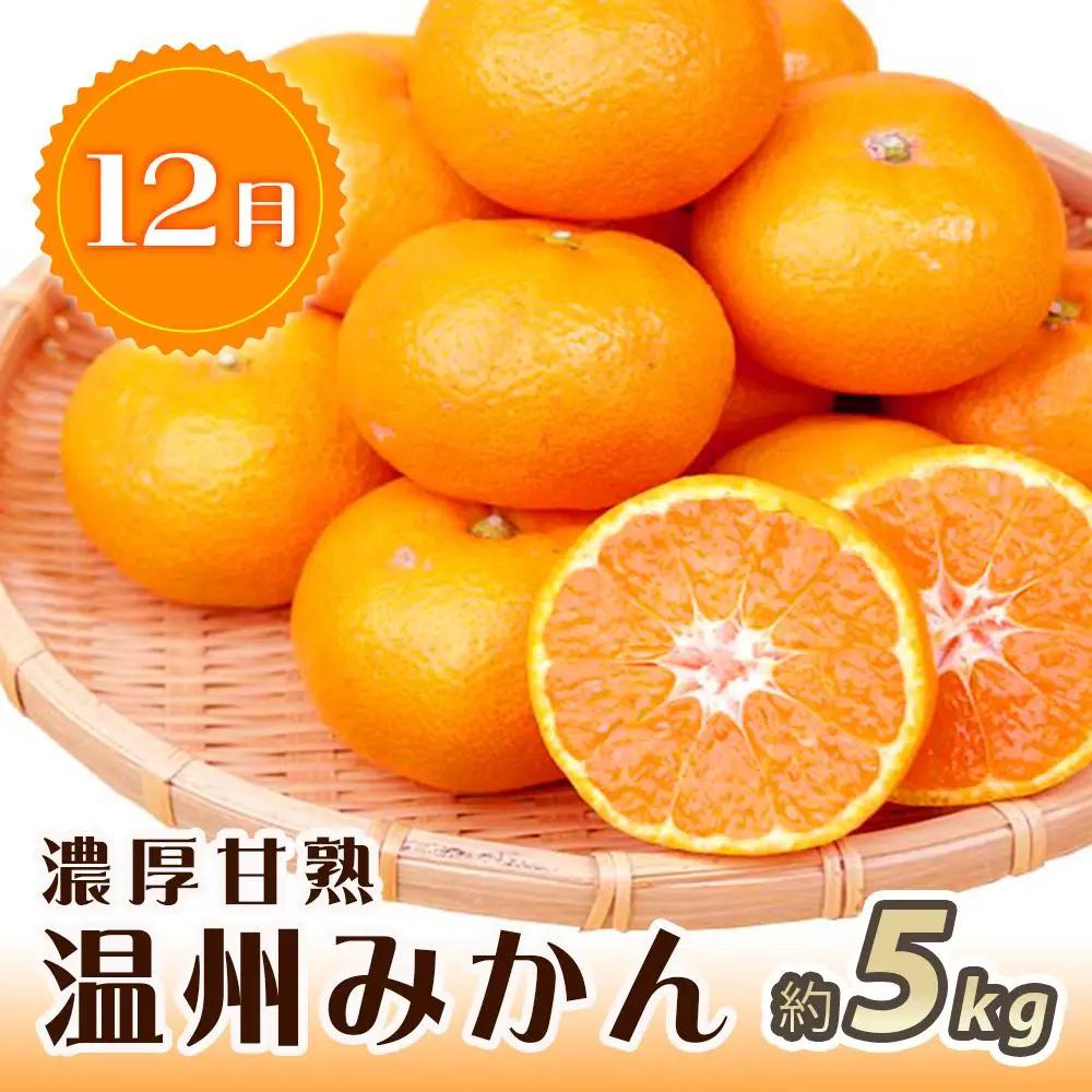【2・7・12月 全3回】紀州和歌山産旬のフルーツセット（いちご・桃・有田みかん）定期便 【魚鶴商店】【UT70】