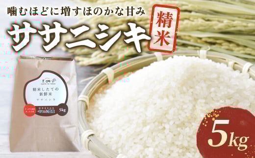 【 令和7年産 新米 】『 ササニシキ 』 5kg 【農薬節約栽培】 北上産 せいぶ農産 米 岩手県 北上市 D0552 国産 お米 こめ ご飯 ささにしき 精米 新米 西部開発農産