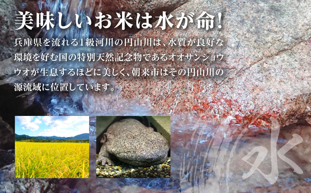 令和7年産 新米 兵庫県朝来市産 にじのきらめき （白米） 5㎏×9か月 【 令和7年産 新米 にじのきらめき 単一原料米 国産 5kg 9か月 45kg 定期便 お米 米 コメ こめ 精米HACCP