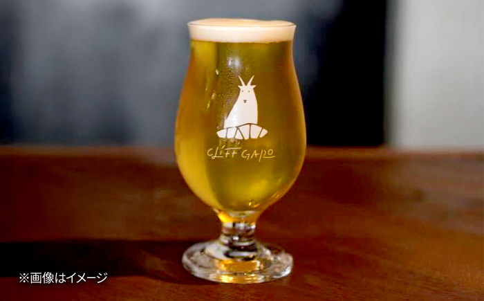 【全6回定期便】-CLIFF BEER- PINEAPPLE DIGGER  (セッションIPA) 6本入り ビール クラフトビール 350ml 飲み比べ ギフト 沖縄市 / 株式会社クリフクラフト 