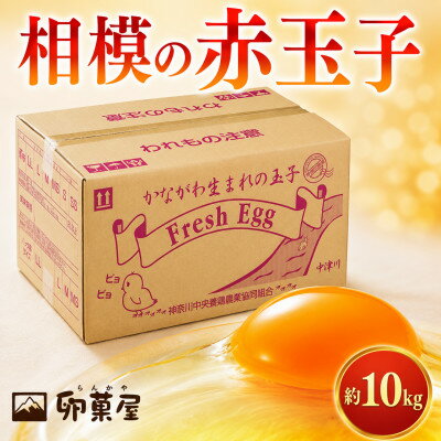 【ふるさと納税】相模の赤玉子約10kg　140個+割れ保証10個前後【配送不可地域：離島】【1745589】
