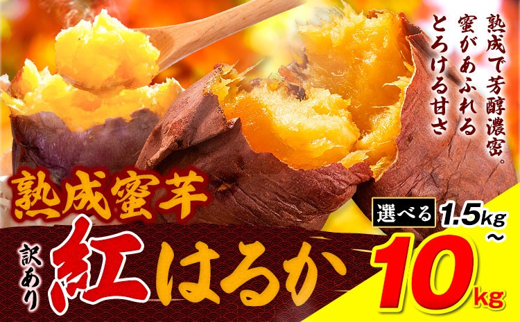 
                  訳あり紅はるか サツマイモ 選べる 1.5kg 3kg 5kg 10kg 《2026年1月上旬-5月末頃出荷予定》紅はるか さつまいも 熊本県 大津町 イモ 芋 さつまいも 訳あり
                