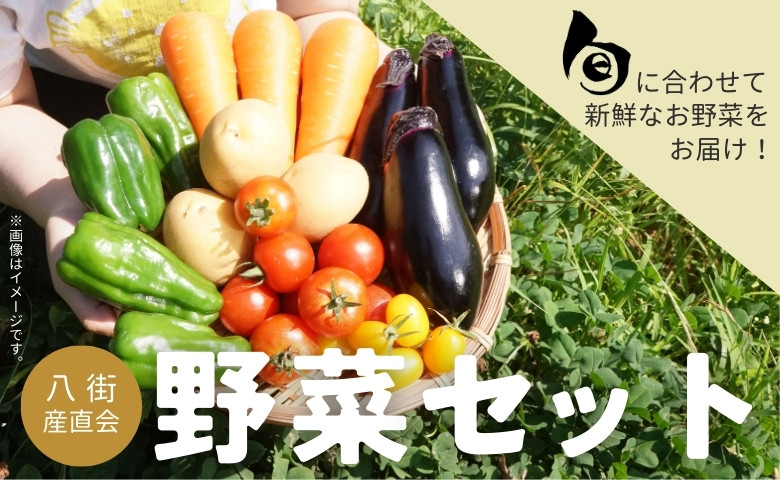 
            八街産直会  こだわり の 旬 野菜セット 6～7品 野菜 野菜詰め合わせ 八街市 千葉県 産地直送 春夏野菜
          