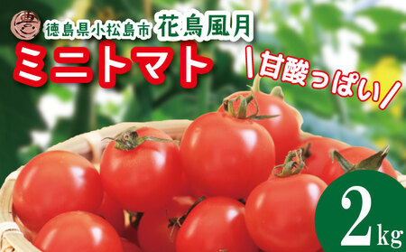 【2026年4月発送】 ミニトマト 花鳥風月 爽やか 国産 2kg ミニトマト ミニトマト ミニトマト ミニトマト ミニトマト