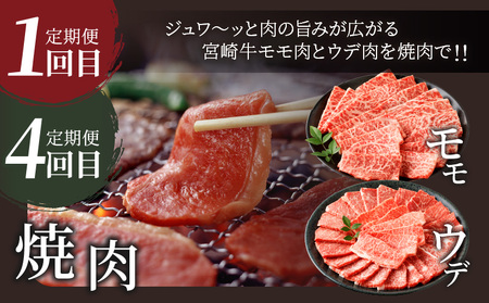 6か月お楽しみ定期便『宮崎牛よくばりセット』総重量4.8kg 肉 牛 牛肉 おかず 国産_T030-184