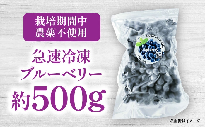 国産 急速冷凍ブルーベリー 500g ブルーベリー 冷凍 ぶるーべりー