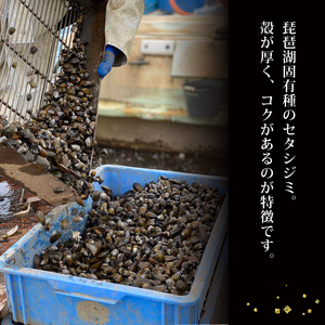 びわ湖産天然 しじみ味噌汁 10食入 ＜あゆの店きむら＞