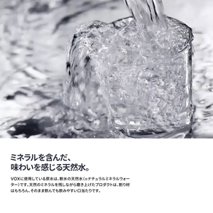 【2か月定期便】VOX バナジウム 強炭酸水 500ml 35本 【富士吉田市限定カートン】 備蓄 防災 ストック 防災グッズ 保存 山梨 富士吉田