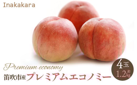 
            【2026年発送★先行予約】【笛吹市産】Inakakara 一宮町の桃 プレミアムエコノミー 4玉(1玉約300g) 192-022-26y
          