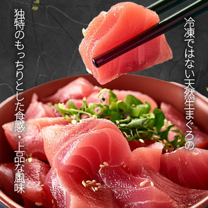 那智勝浦直送！天然生まぐろ 柵 500g【UT101】【uot806】