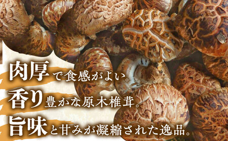 【11月上旬から順次発送】ひじかわの原木生椎茸 約1kg しいたけ 野菜 椎茸 干ししいたけ きのこ[AGBO001]