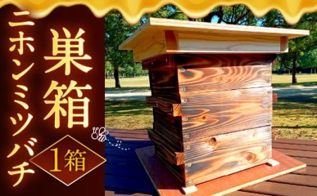 ニホンミツバチ 巣箱 1セット ミツバチ ハチ 蜜蜂 蜂 蜂蜜 はちみつ ハチミツ BM