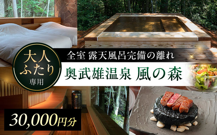 奥武雄温泉風の森 宿泊補助券 3万円分 / 旅館 旅行 サウナ / 佐賀県 / 株式会社GOTENリゾート [41ATAB002]