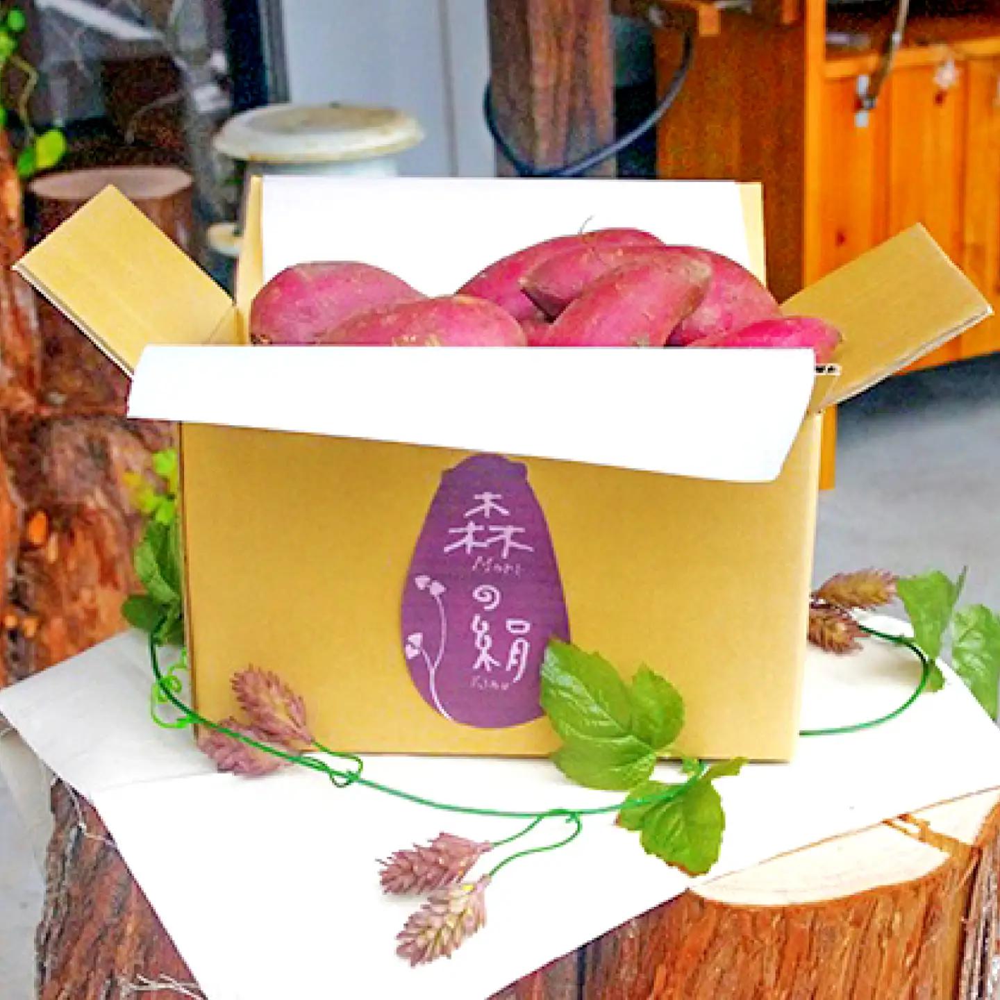 蒸して干しただけ！高糖度サツマイモ「森の絹」の干し芋100g×8袋【 干し芋 ほしいも 森の絹 農薬不使用 蜜 サツマイモ 】