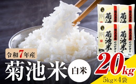 令和7年産 熊本県産 菊池米 白米 20kg 1袋5kg 株式会社くまもとごはん 《30日以内に出荷予定(土日祝除く)》米 お米 令和7年産 九州産 熊本県産  送料無料
