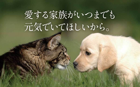 【鹿児島県大隅産】千歳鰻 うなぎの頭のペットフード 1袋3個入り×10袋