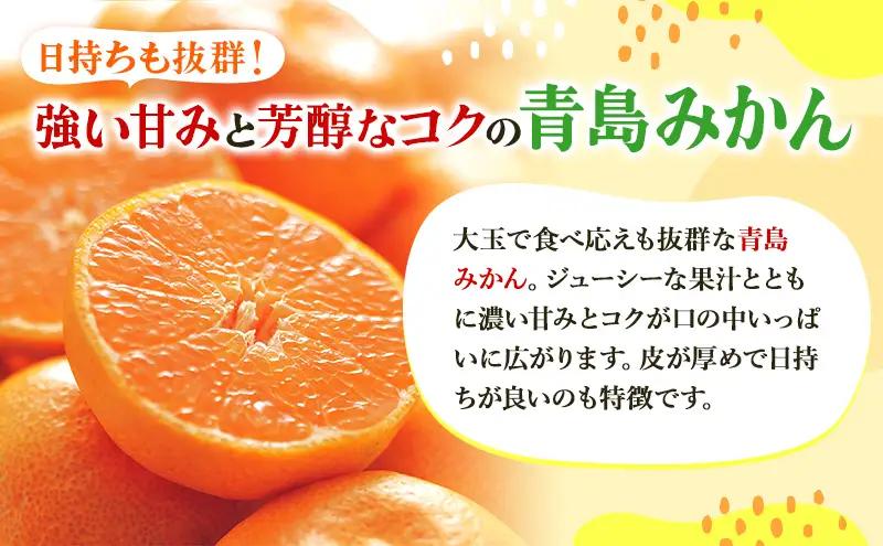 みかん 三ヶ日 プレミアム 青島 5kg 蜜柑 フルーツ 浜松 みかん