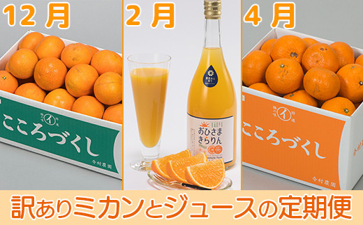 
                  [定期便] 訳ありミカンとジュース (12月・2月・4月)【たっぷりコース】【今村農園】 みかん ミカン 柑橘類 フルーツ 果物 定期便 3回 頒布会 ＜107-802＞
                