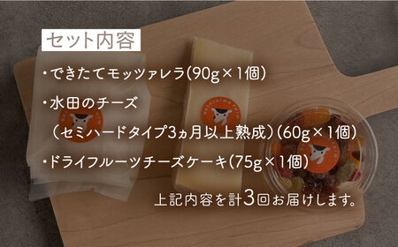 【先行予約】【3回定期便】ナカシマファームの人気チーズ３種セット【ナカシマファーム】 [NAJ110] チーズ チーズセット チーズ食べ比べ 