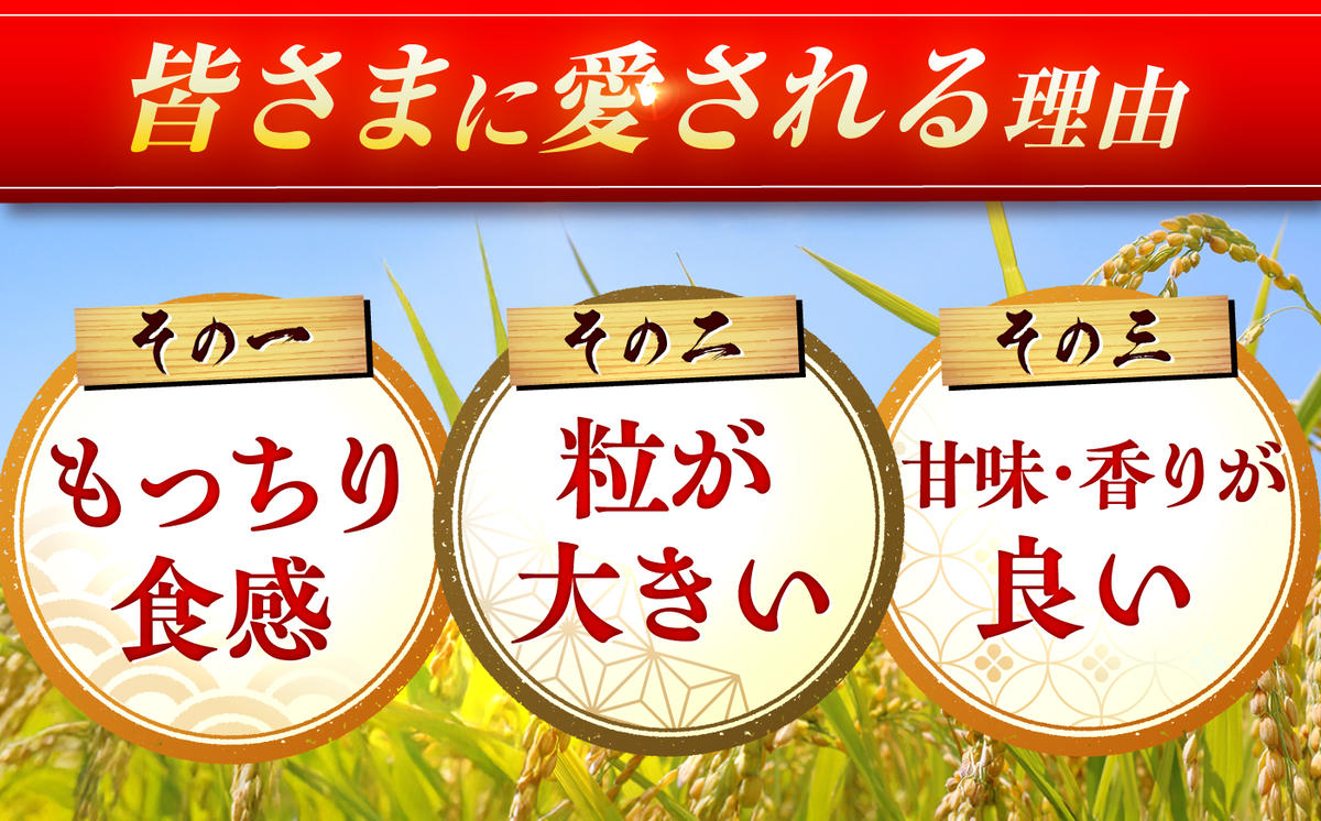 さがびより 20kg（5kg×4袋）【令和7年産】吉野ヶ里町 / 株式会社増田米穀 [FBM041]