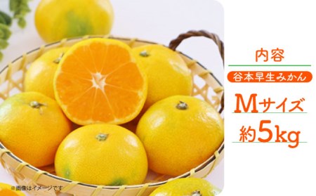 【先行予約】極早生（谷本早生） みかん Mサイズ 約5kg  ー2025年10月より発送ー 長与町/山口農園 [EBI007] みかん ミカン 温州みかん 極早生みかん 長崎みかん 長与みかん