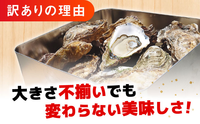 【生牡蠣】【訳あり】カンカン焼き（ナイフ付き）2.4kg 牡蠣 かき 魚介類 料理 簡単 江田島市/株式会社門林水産 [XAO023]