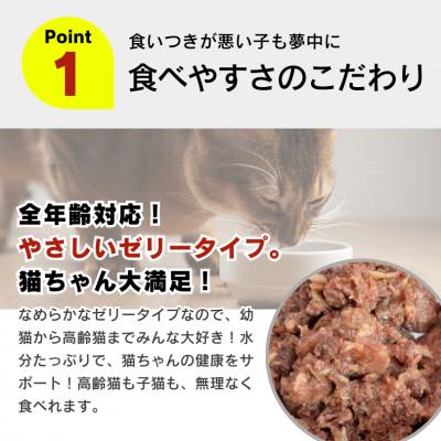ふるさと納税 久留米市 金まぐろ 猫用パウチ(ササミ入り)160g×48袋(久留米市) |  | 01