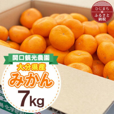 【ふるさと納税】温州みかん約7キロ【1727488】