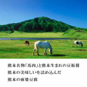 【微辛】馬婆豆腐の素 150g（2～3人前）×5パック
