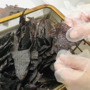 北海道 根室産 蝦夷鹿 ジャーキー OUTLAND JERKY 40g×5パック【be034-0446】  （ えぞしか エゾシカ 蝦夷 しか シカ 鹿 ジビエ ジャーキー 北海道 別海町 人気 ふる